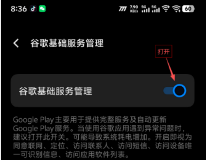 打开谷歌基础服务开关